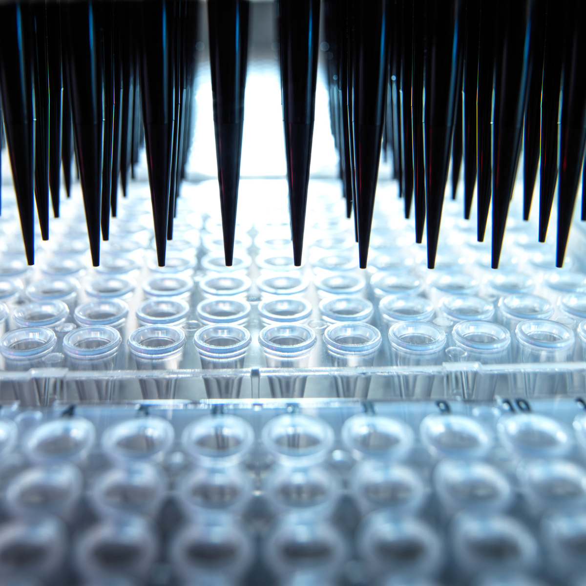 website - square - Sample